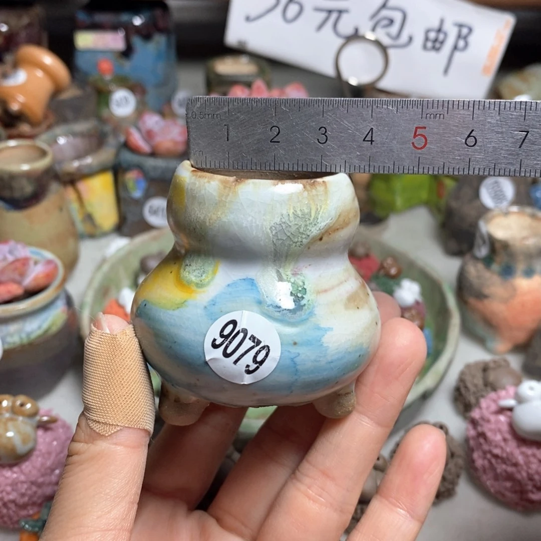 拍5送一个小礼物