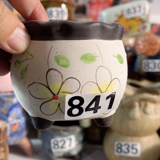 红陶多肉植物花盆