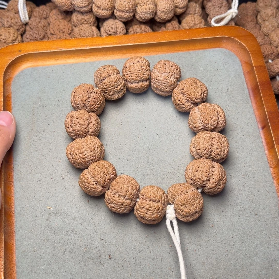 L***e菩提26号金刚菩提熊菠萝蜜蜜25