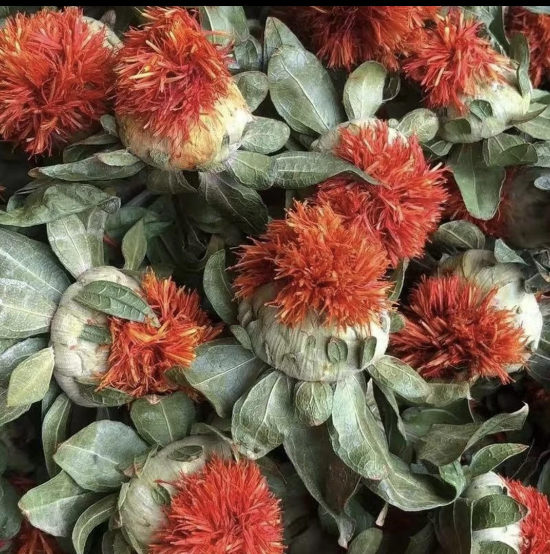 自然晒干帝王花品质优良值得选购