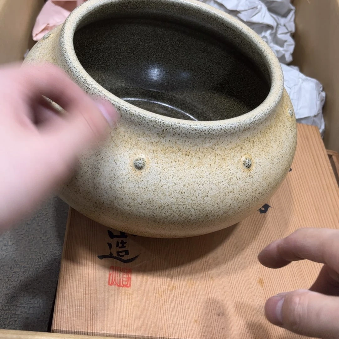 松***雨茶茶茶茶茶茶茶茶茶茶