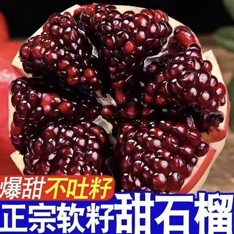 CQxs四川会理软籽石榴新鲜应季水果爆甜多汁