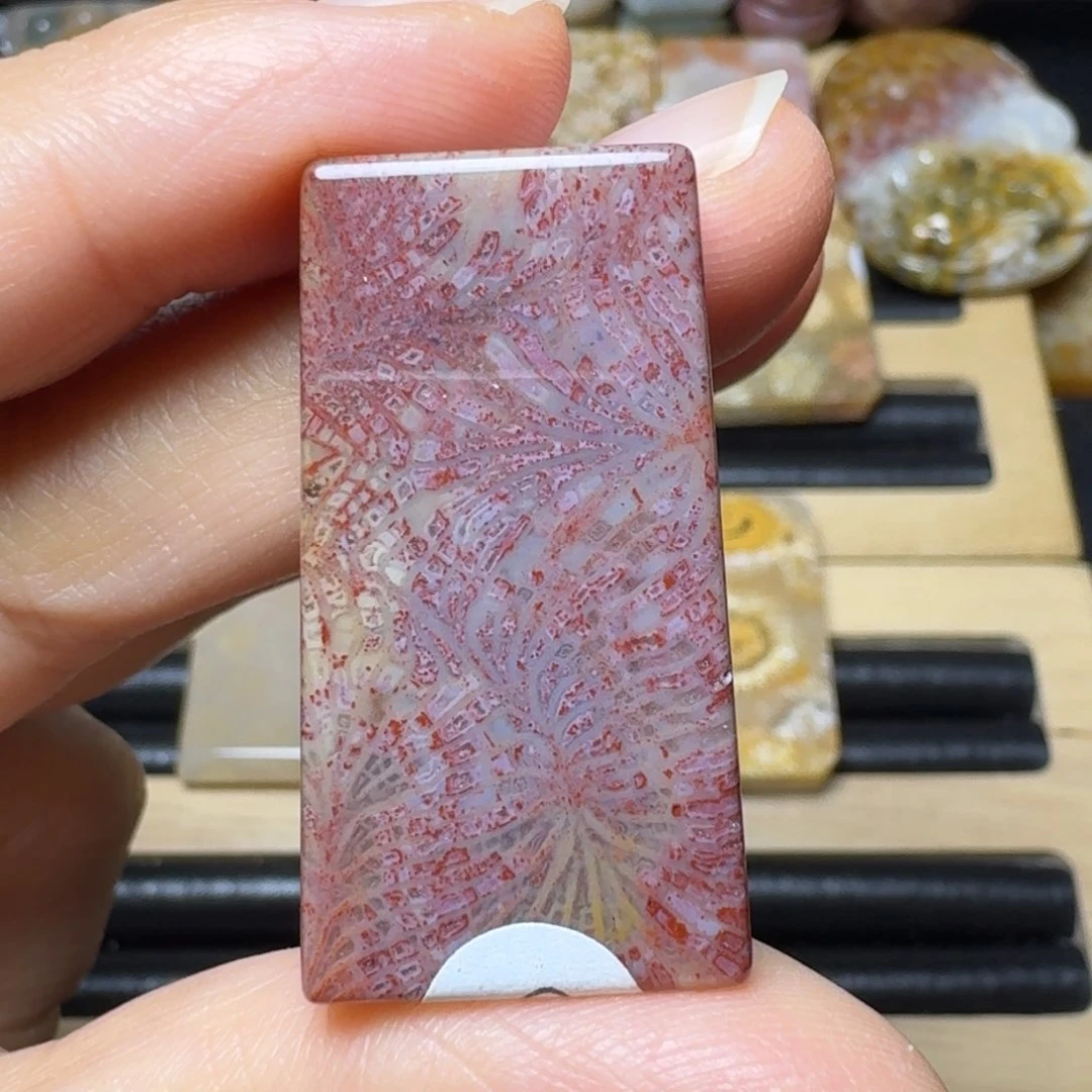 硅化玉美美凤尾，可盘未镶嵌