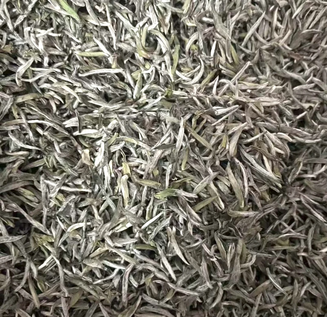 22年雪后白鹭窠头采银针 蜜感十足