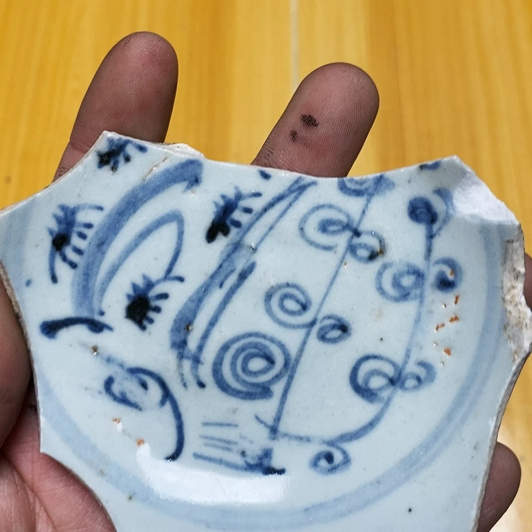 金铜精品瓷片标本