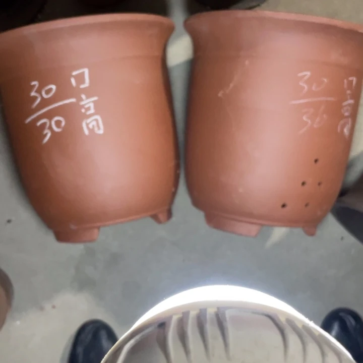 紫砂紫砂紫砂紫砂紫砂