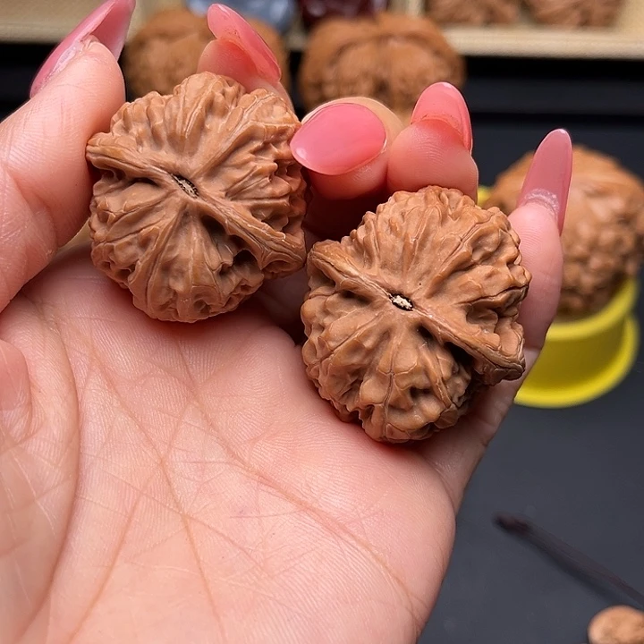 大叶紫檀（黑酸枝木类）