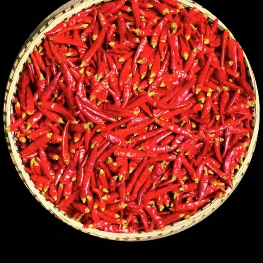 满天星干辣椒 又辣又香虾子辣椒炒菜干锅炝锅朝天椒250g/500g