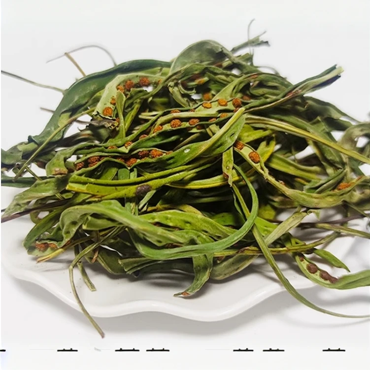 化石 绿茶绿草茶 绿叶优选嫩叶泡水煮水特产