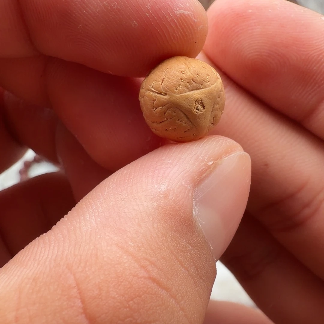 凤眼菩提吊坠实心龙