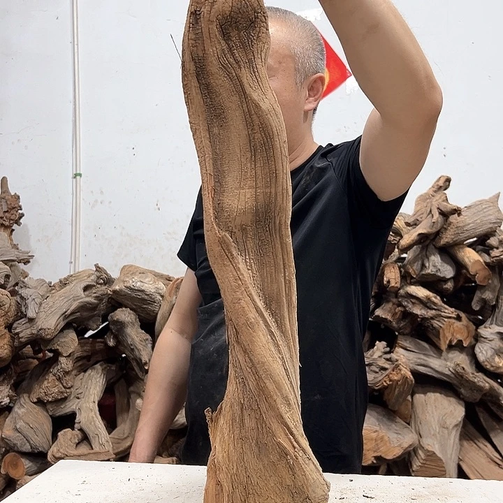 柏木许***康我们的生活也是如此的