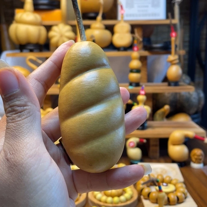 降***姆天然葫芦自然生长
