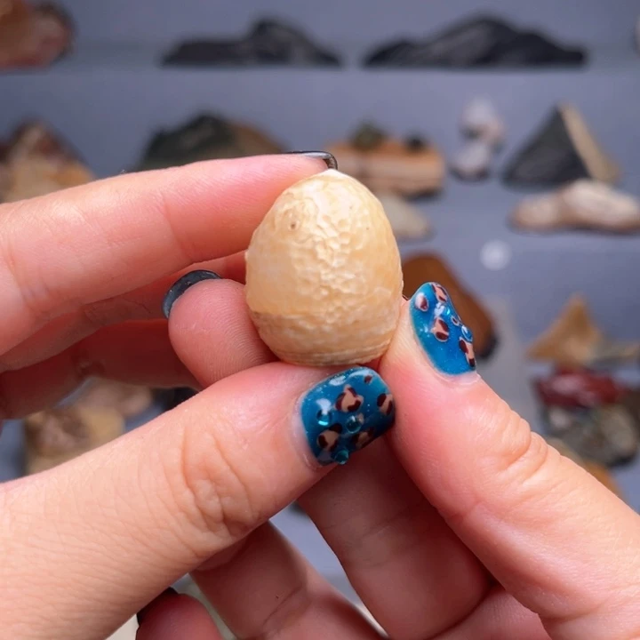 石材阿拉善漂亮小瑙瑙