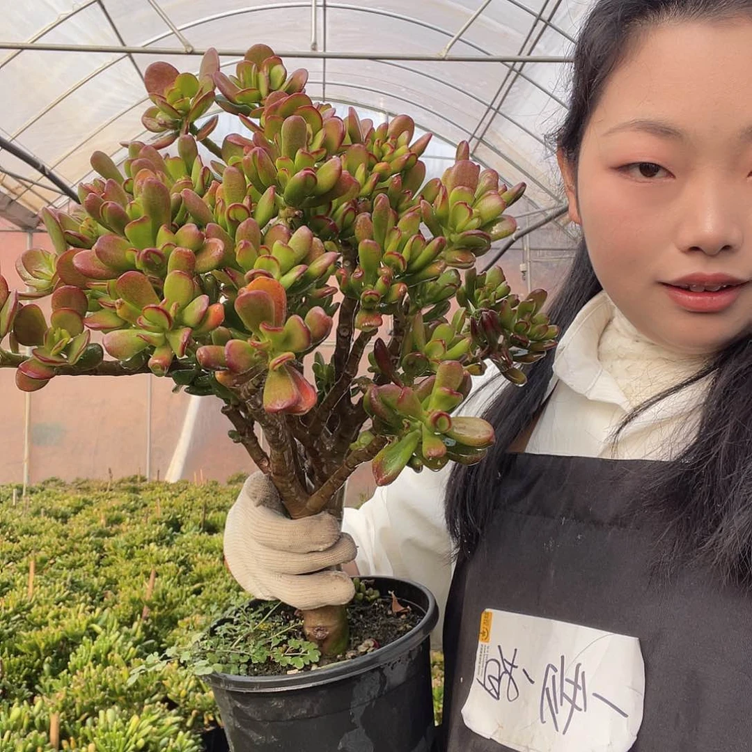 一物一拍一单包邮