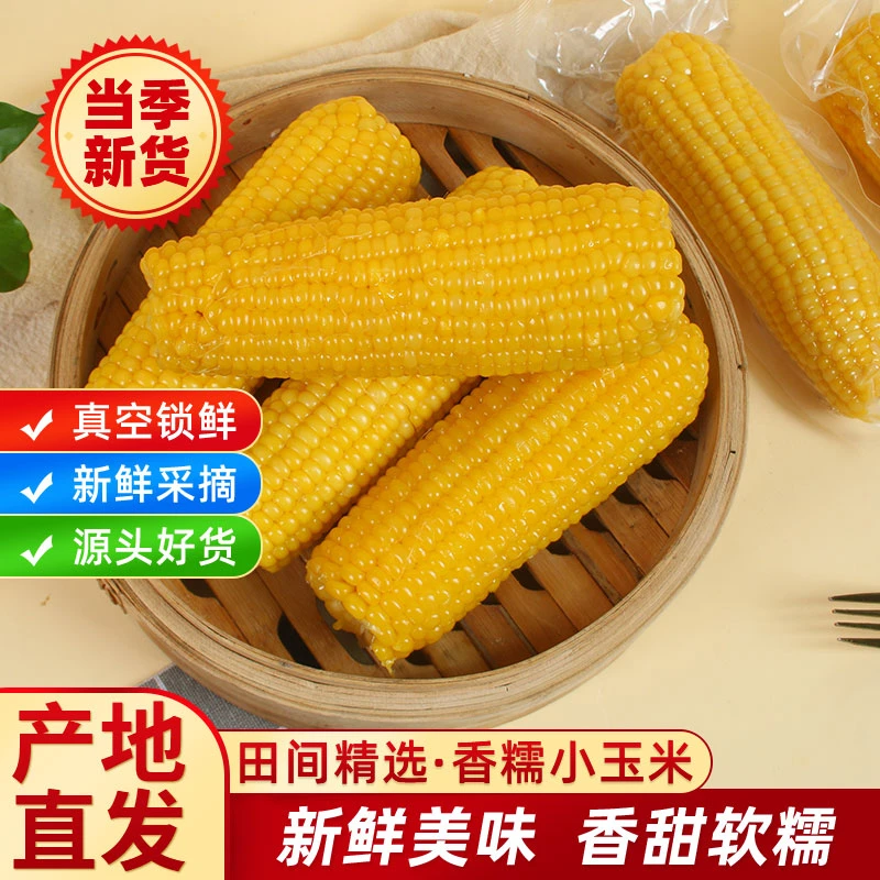 【试吃5根】10根大棒东北头茬黄糯玉米软糯香甜RX整箱6斤