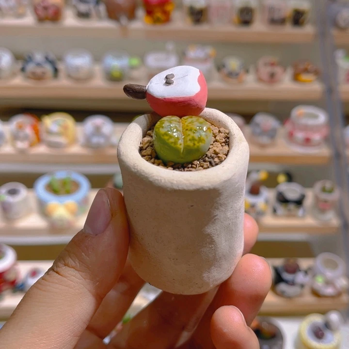 004黄绿子勋带盆土一套20