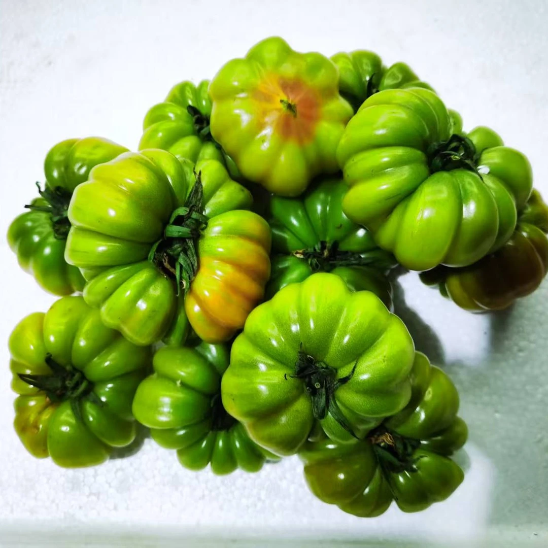 顺丰包邮[青果老品种丑番茄]贵州农家老品种丑西红柿健康绿色