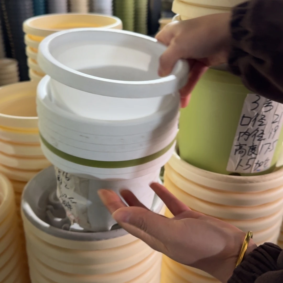 球根1号10个灰白色