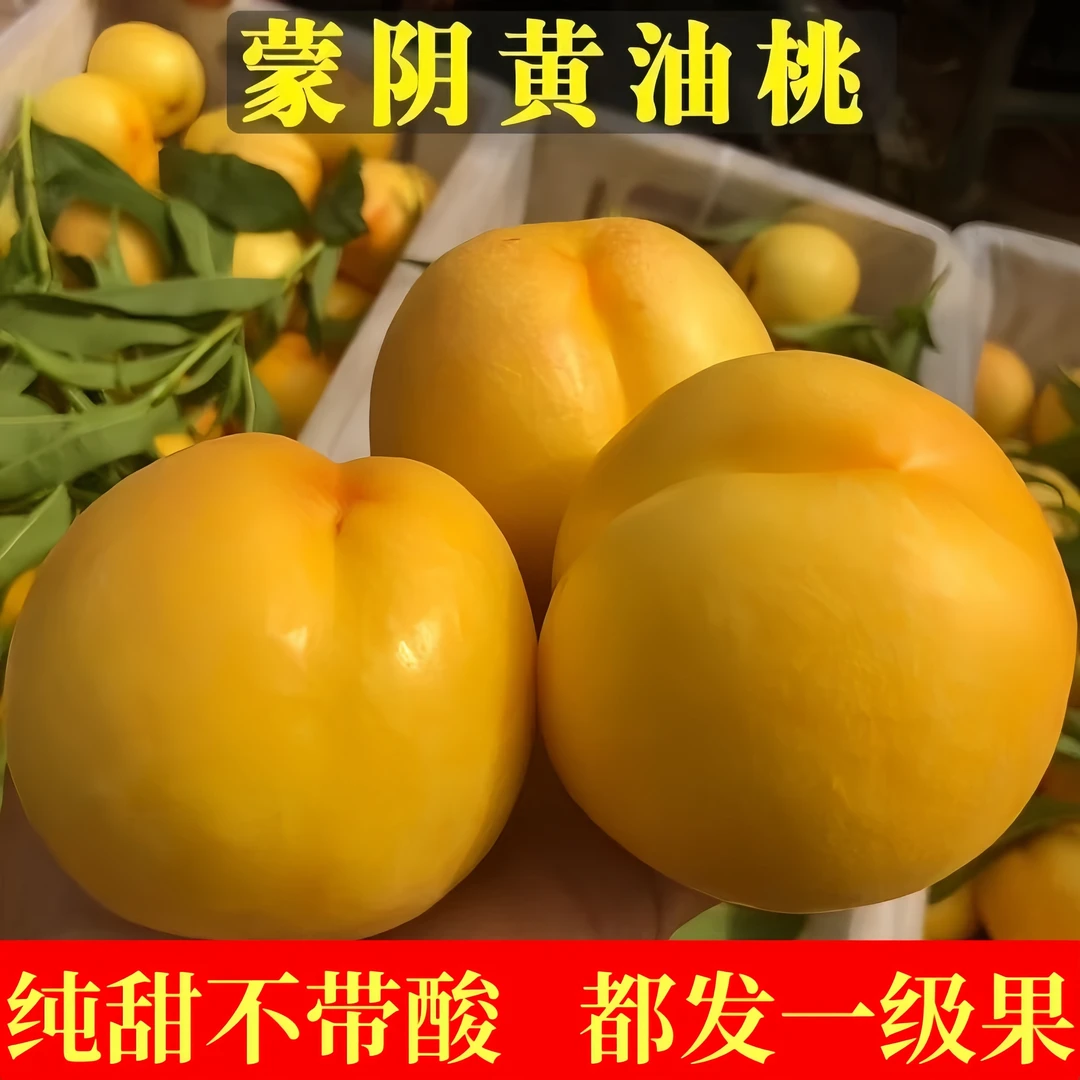 山东蒙阴黄油桃新鲜当季脆甜多汁肉厚桃子孕妇水果黄心桃现摘现发