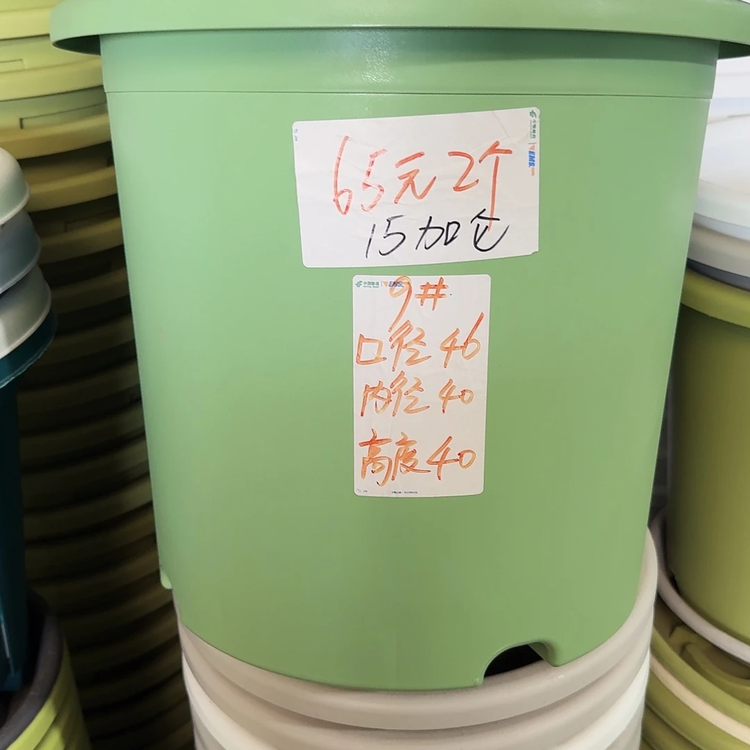 微瑕9#口径46无拖新绿色3个