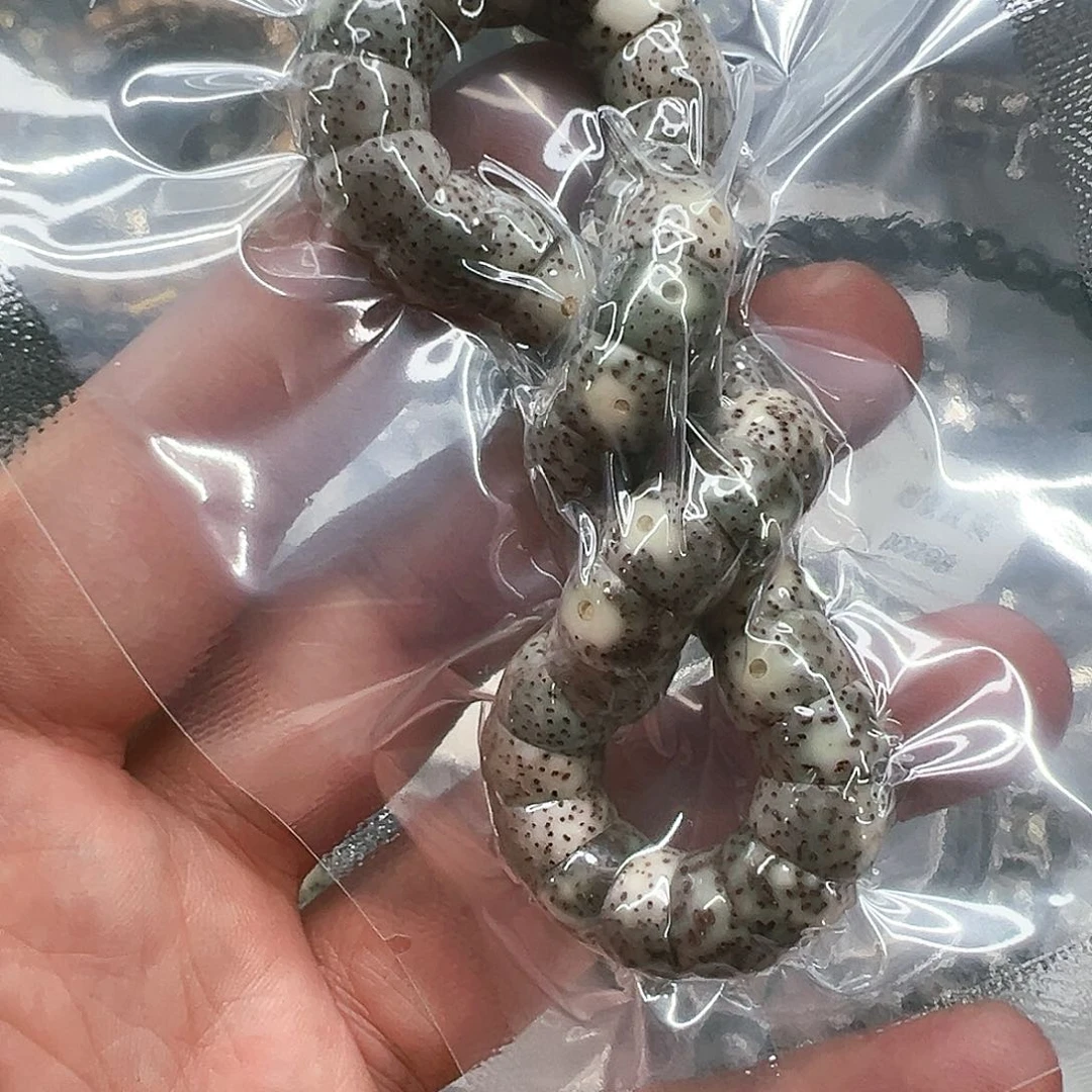 星月菩提手串120星月菩提单圈10大肠