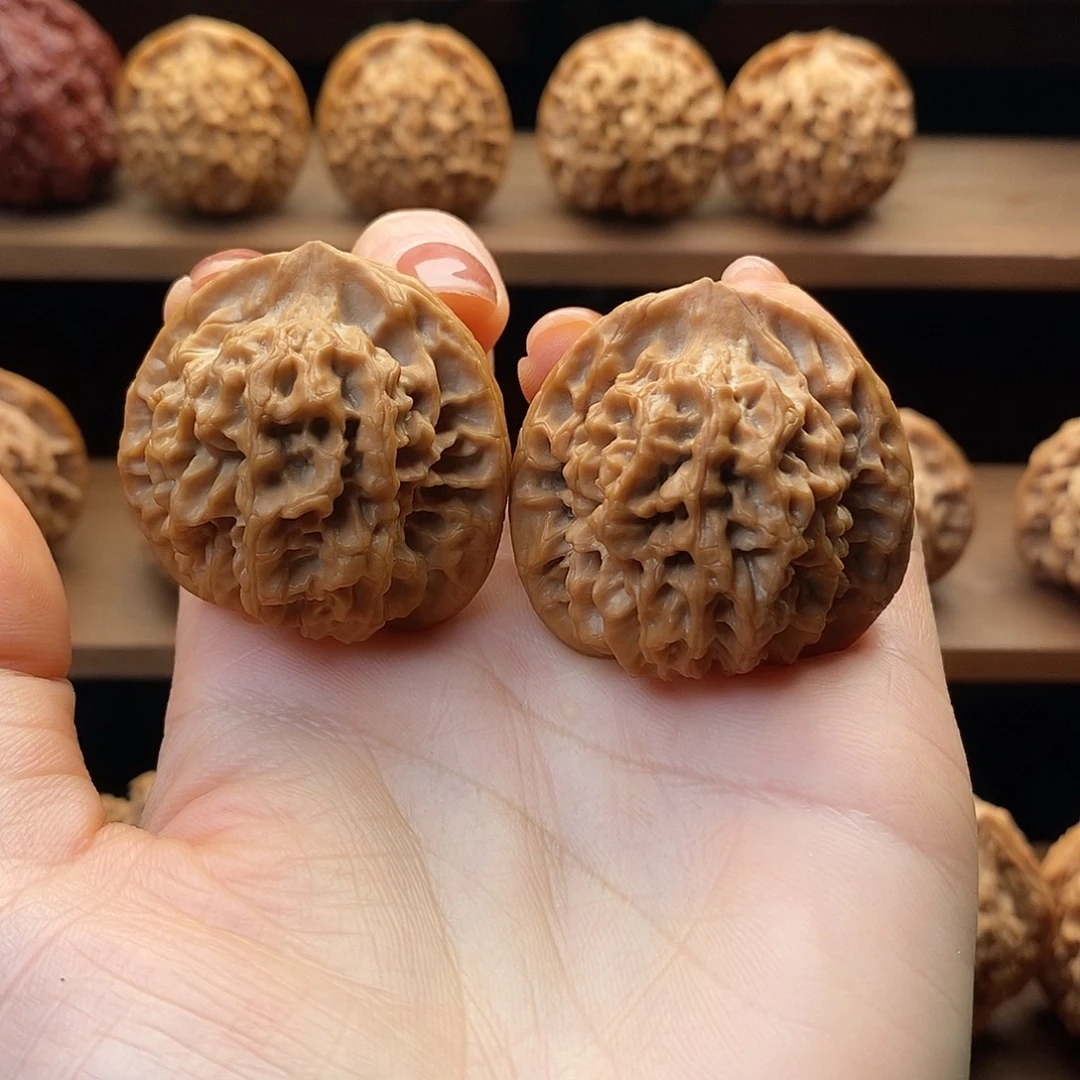 流***沙秦闷10（静静文玩）