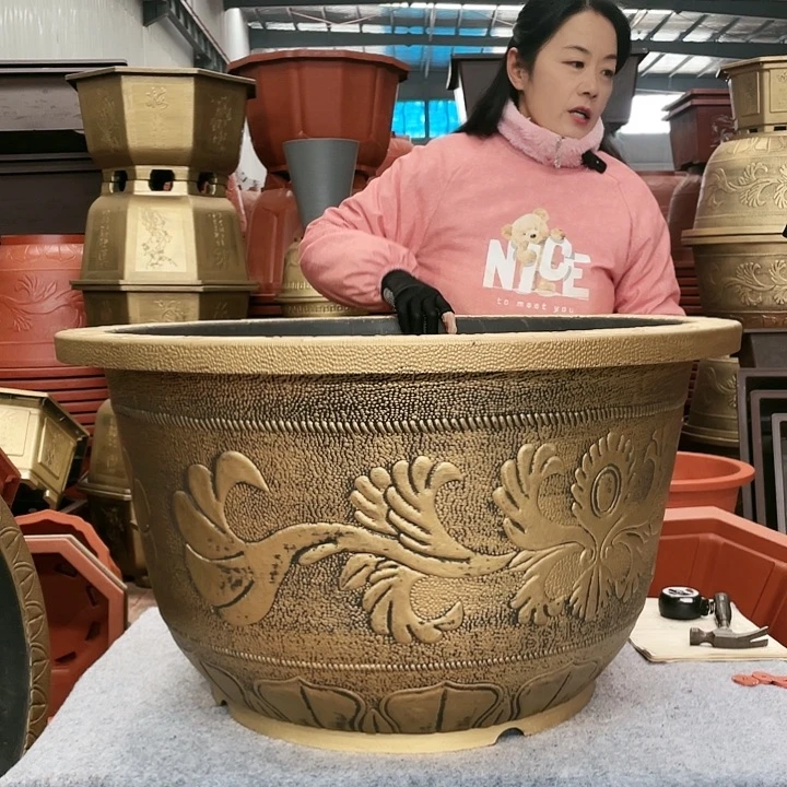 魏***哥圆盆古铜七零六个