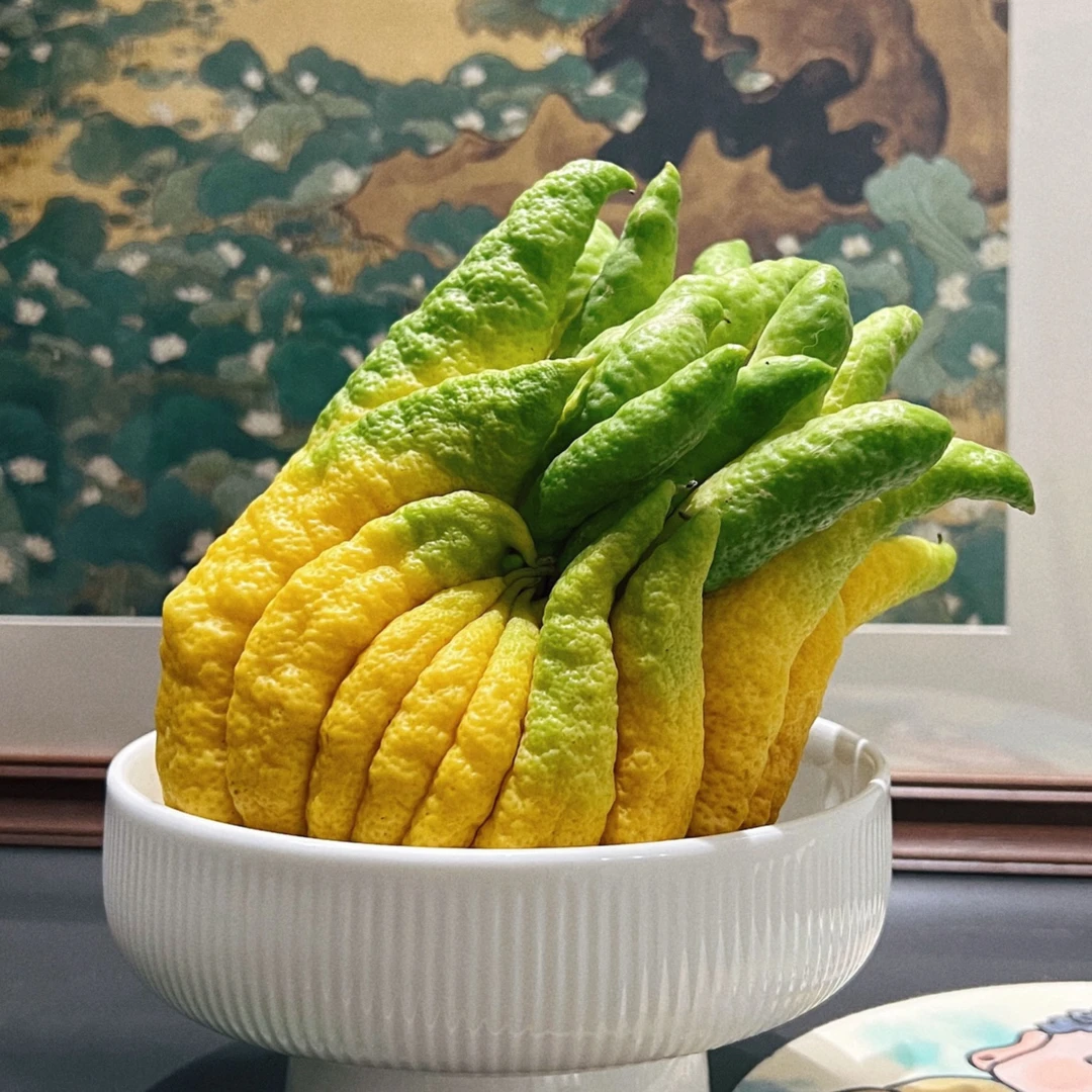 云南高山佛手基地直发天然香薰福寿果一物一拍