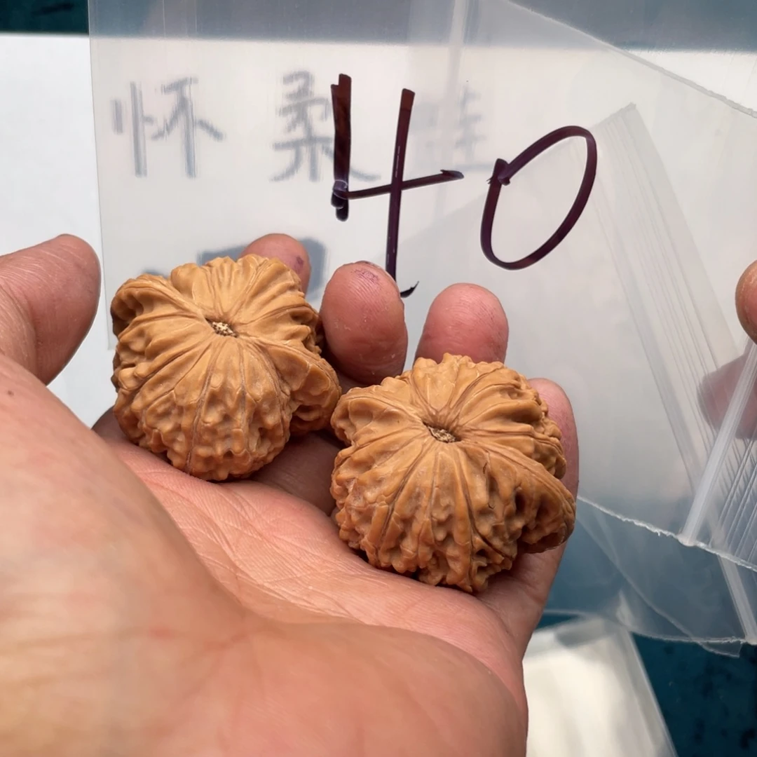 核桃手串/手链W649749974649794479