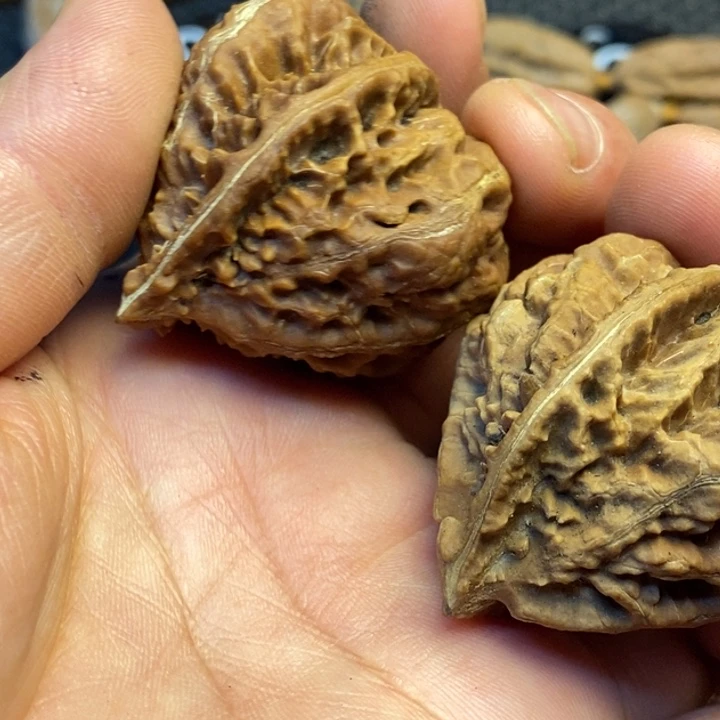 吊坠文玩核桃娜姐126