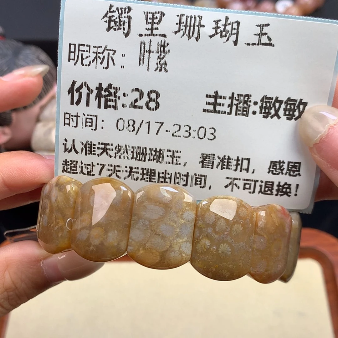 【闪购商品】硅化珊瑚（珊瑚玉）未镶嵌颈饰叶*