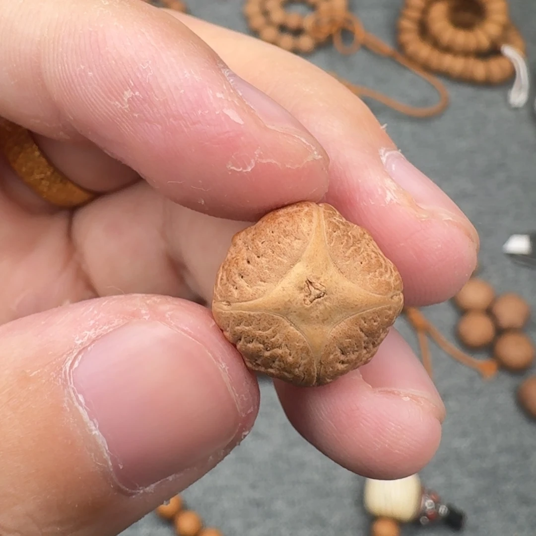 凤眼菩提吊坠15.7/13树王二茬四喜