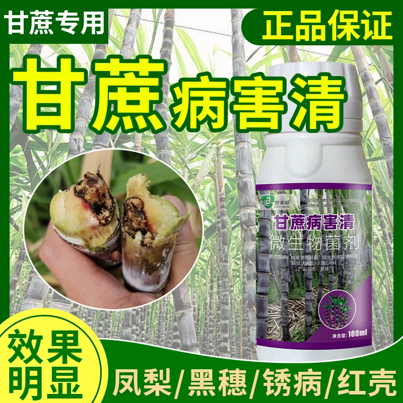 甘蔗病稍腐病专用杀菌剂甘蔗锈病叶斑病黑穗赤腐病黄叶黄化病全治