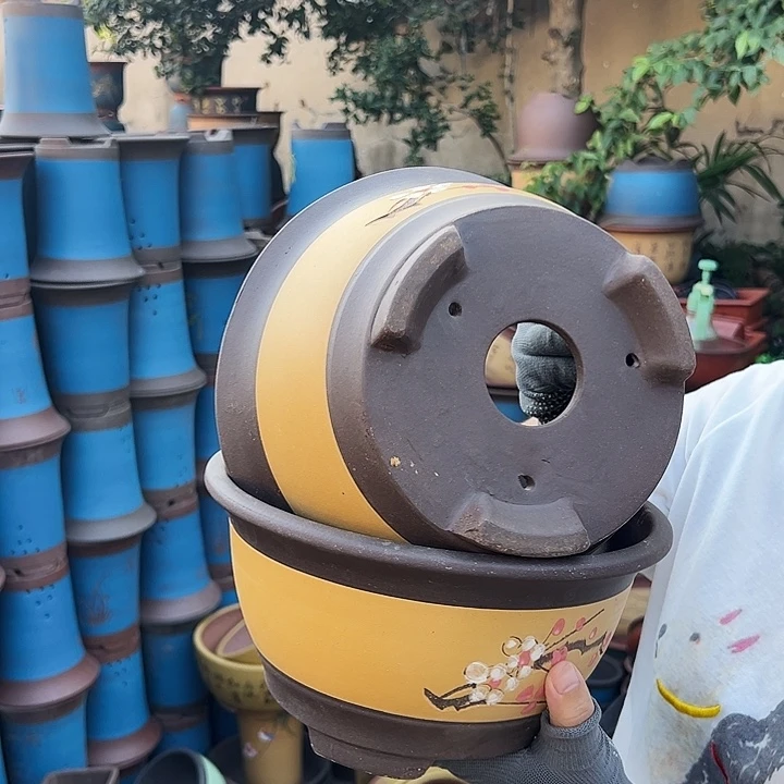 黄富贵点彩小一对