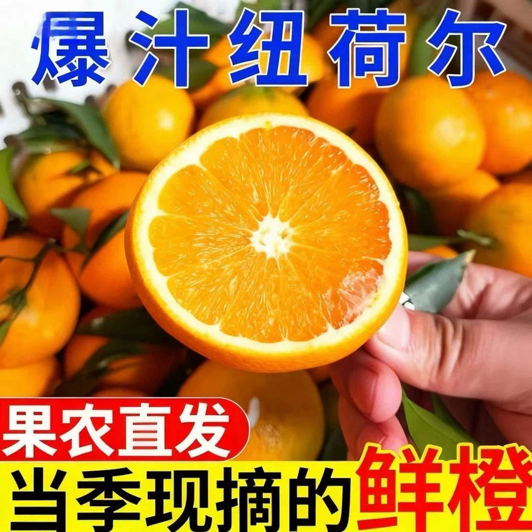 正宗高山纽荷尔脐橙新鲜水果香甜多汁甜橙当季橙子可榨汁