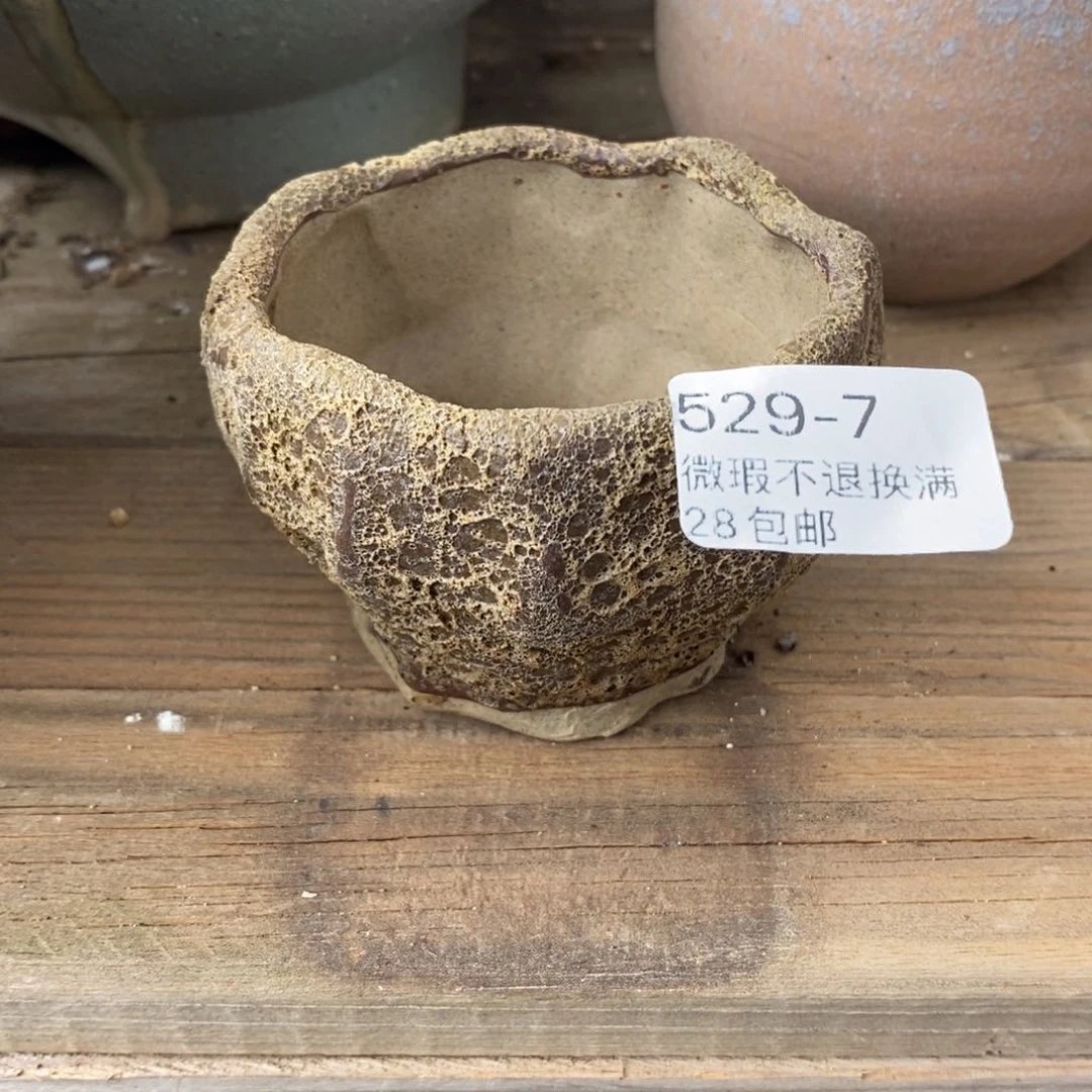 7号多肉盆口径6小可爱