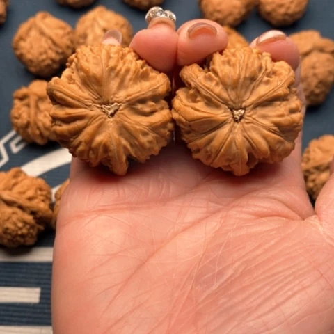 橄榄核手串/手链I***l文山39