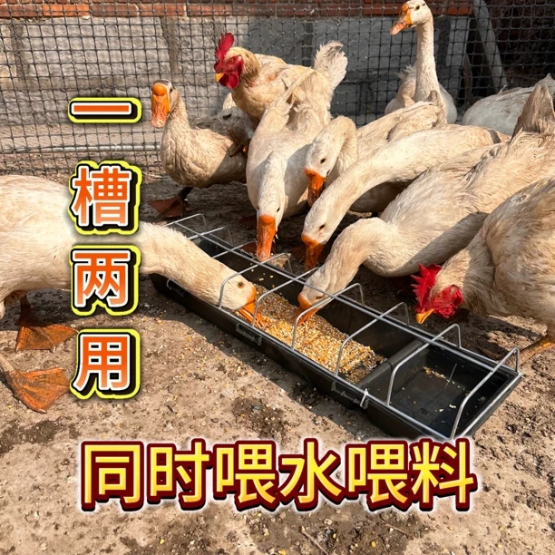 鸡鸭鹅用长方形塑料饲料槽饮水槽干湿两用家禽养殖神器