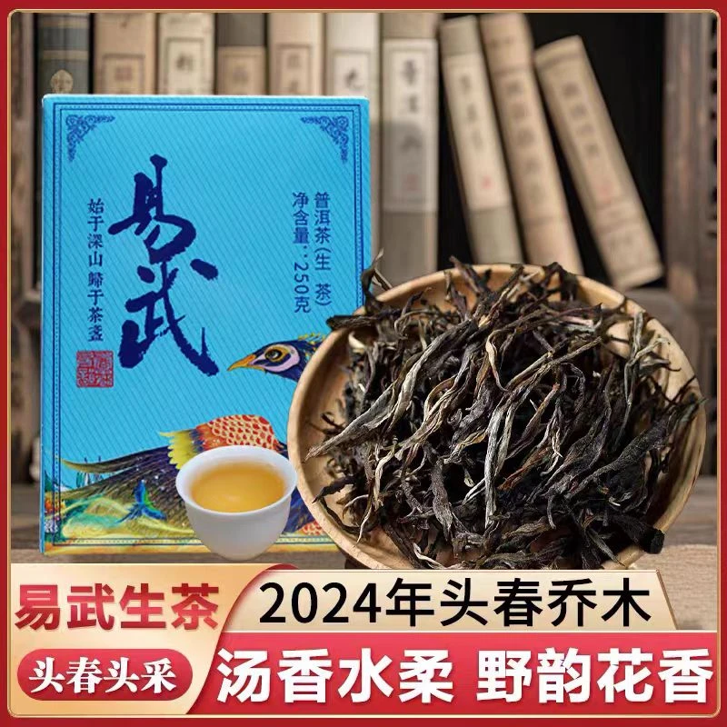 云南普洱茶易武散生茶头春头采春茶料香扬水柔回甘耐泡香气浓郁