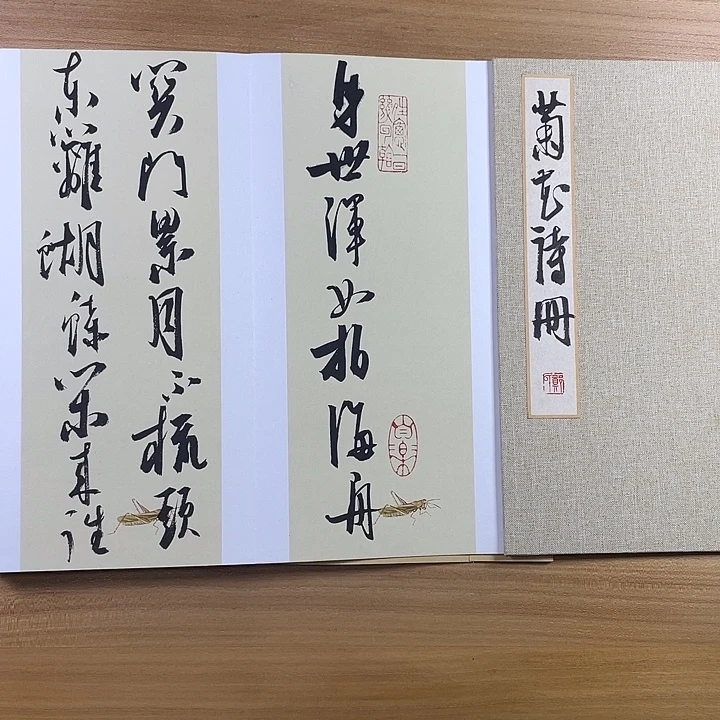 书法中书协老师作品