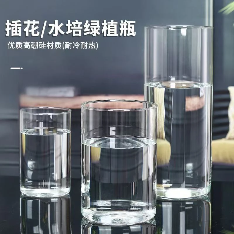 高硼硅玻璃花瓶透明插花干花马醉木富贵竹玻璃客厅摆件2040高硼硅
