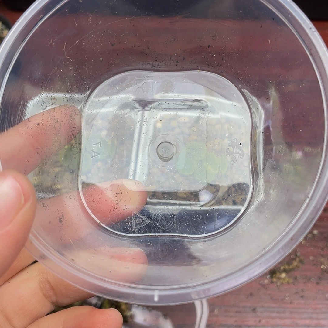 爱***诺0000000花花花花花花花去啊