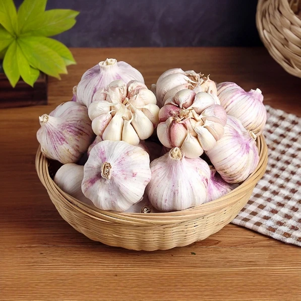 【源头批发价】正宗紫白皮农家2025新干蒜饱满多汁蒜香