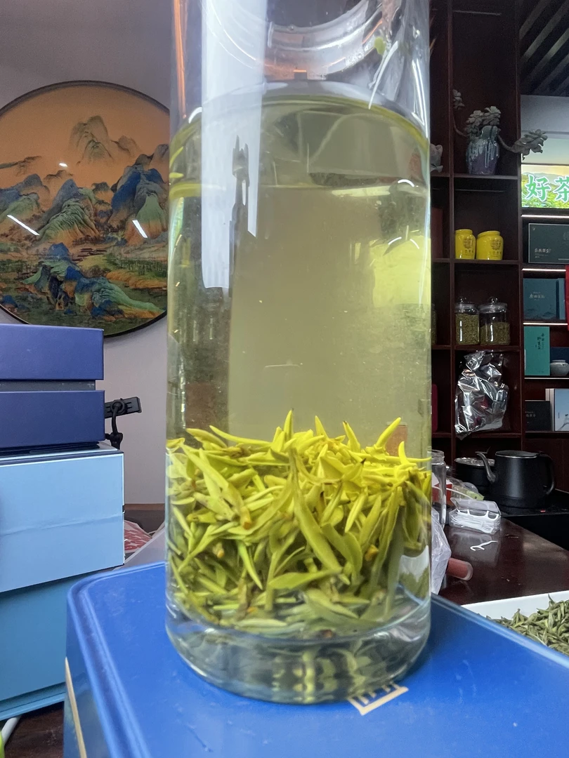 岳西翠兰翠尖2025新茶高山早品种云雾茶清爽柔和
