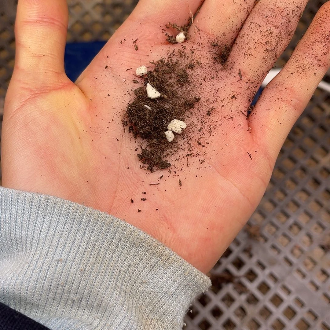 带珍珠岩的泥炭土10升