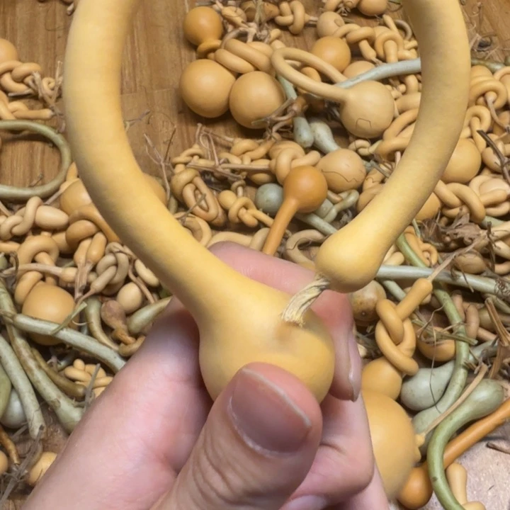玉***爹库克吊坠哈哈哈哈哈哈哈哈哈哈哈
