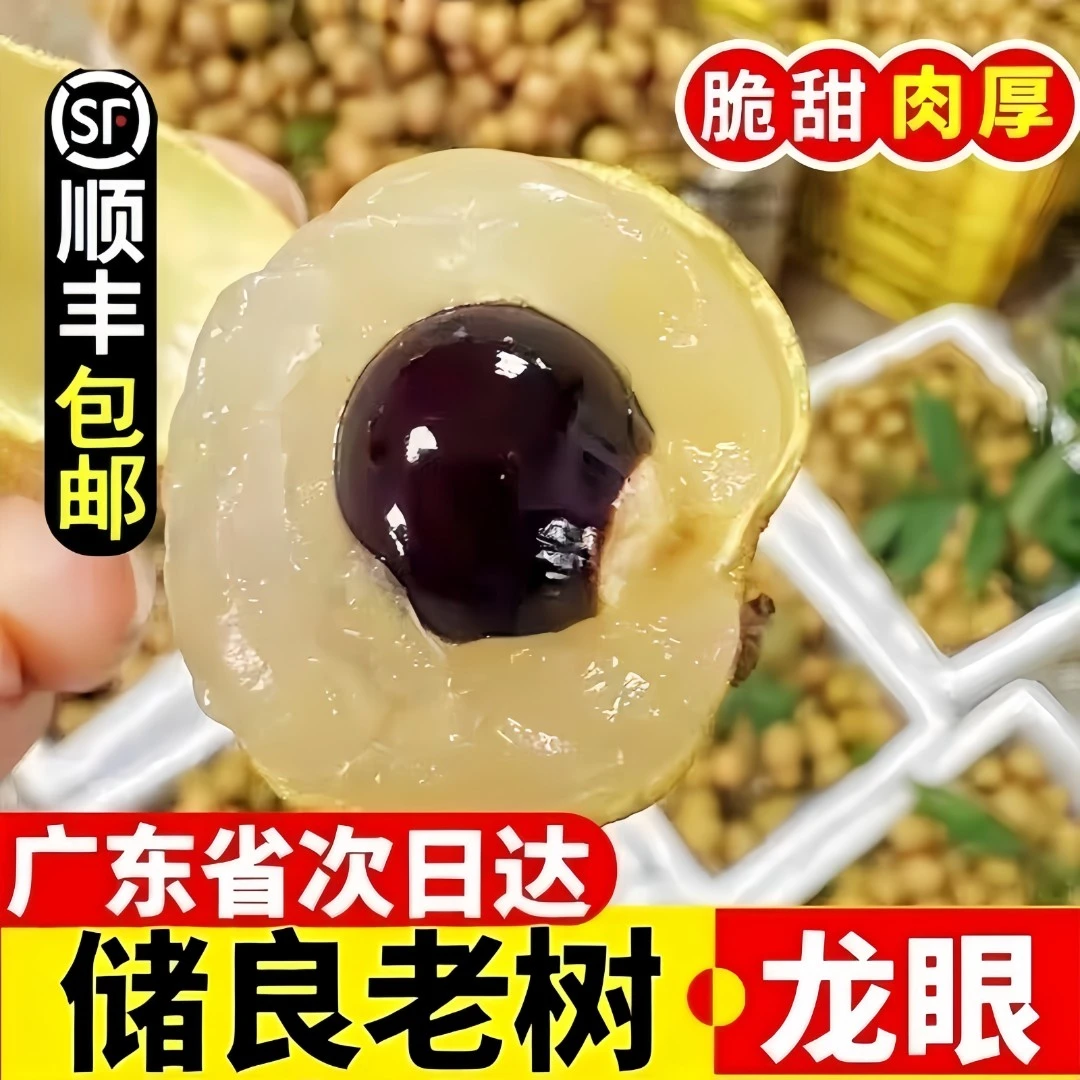 （顺丰次日达）储良龙眼广东老树茂名特产新鲜水果当季纯甜清甜多汁现摘