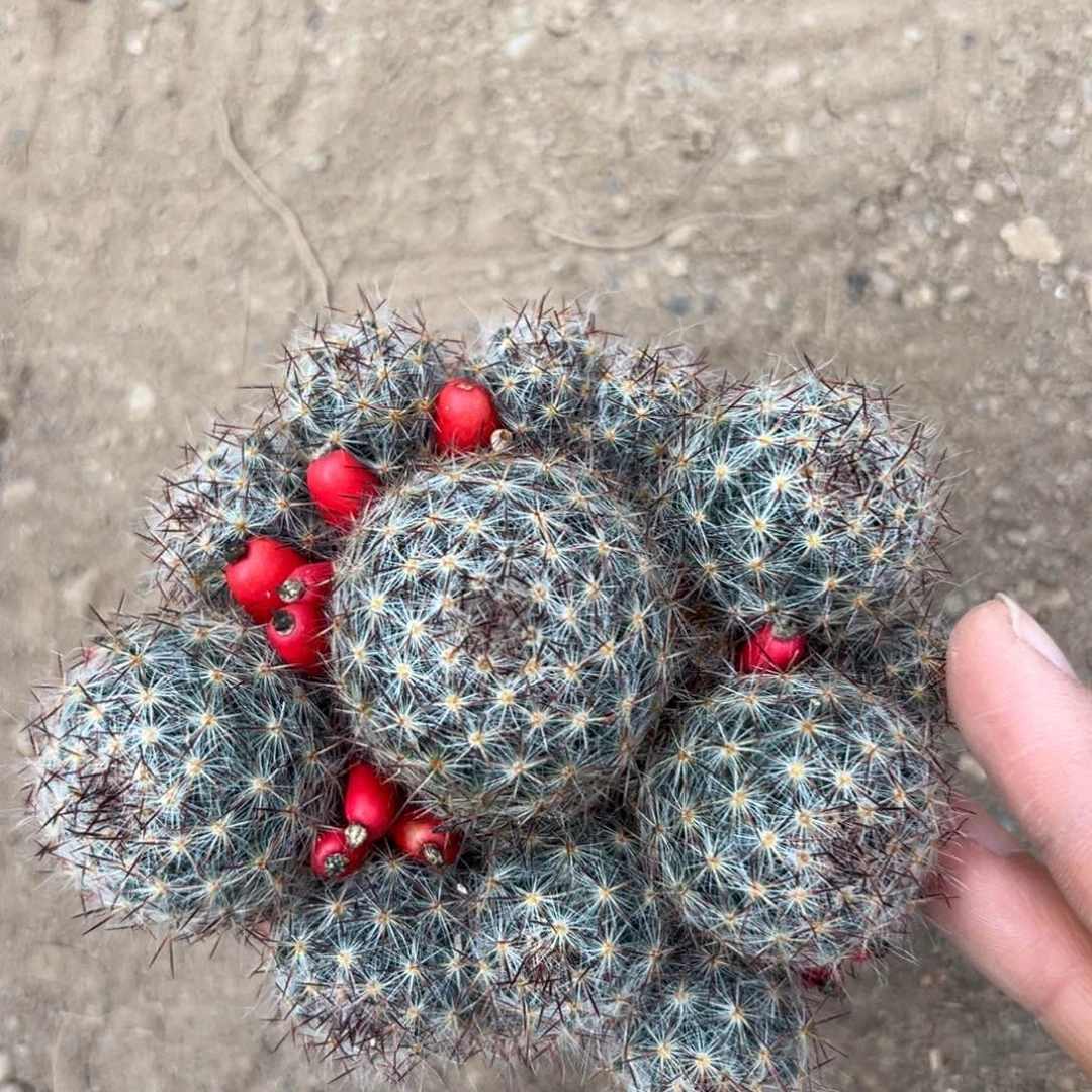 圈***圈零零落落 零零落落