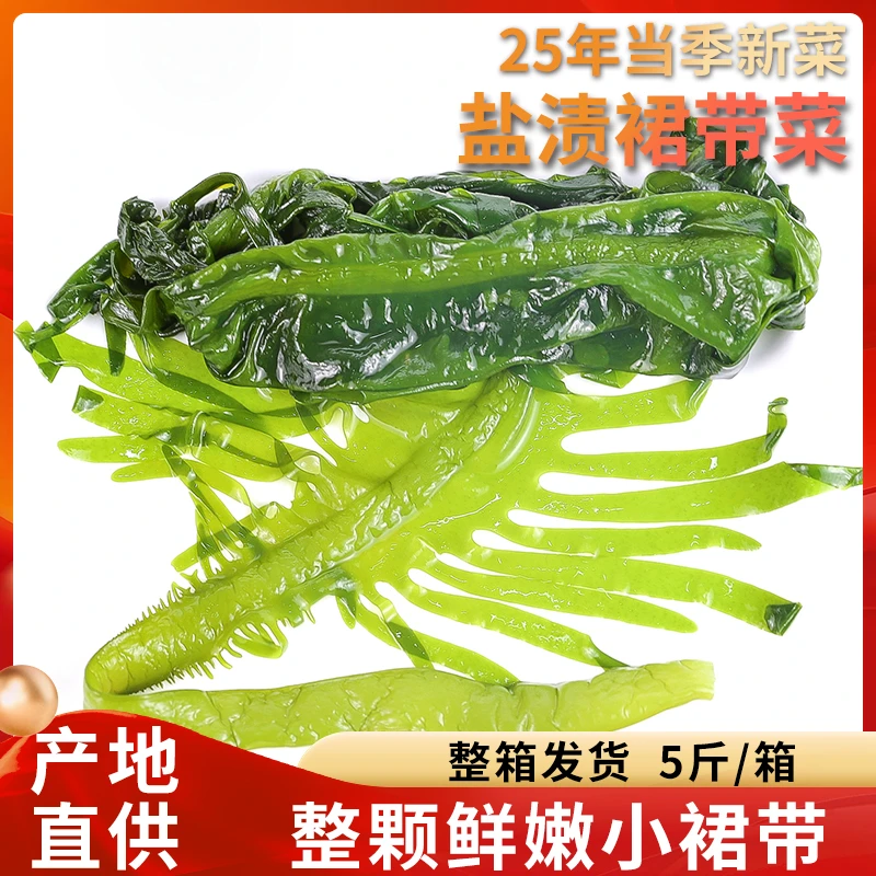 新鲜盐渍整颗裙带菜海白菜裙带叶裙带梗海藻海带5斤/箱