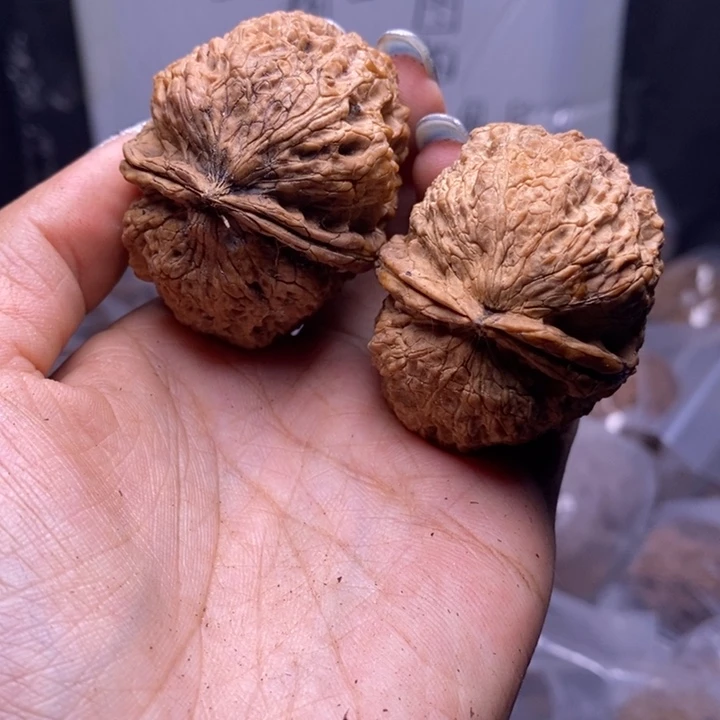 把件文玩核桃云南野生铁核桃190号47mm